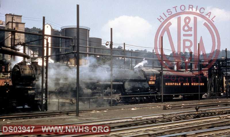 N&W Class A #1239 at Bluefield, WV