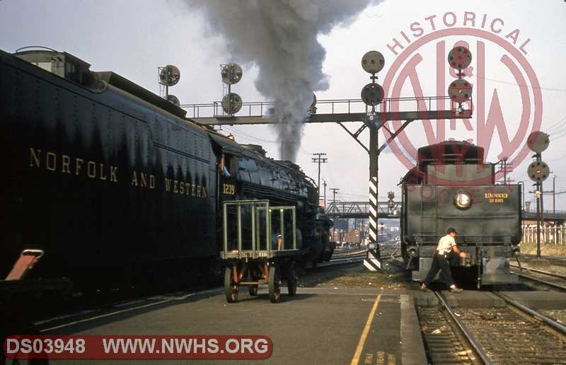 N&W Class A #1239 at Roanoke, VA