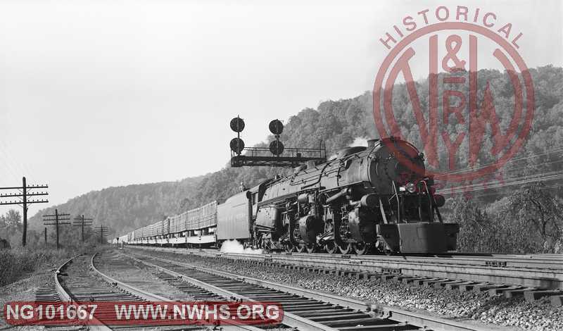 N&W A 1238 with Circus train at Elliston, VA