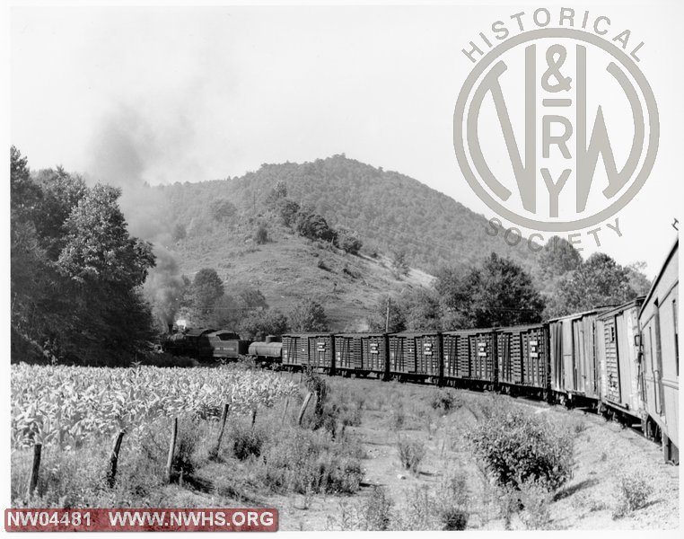 Class M #495, Left Rear 7/8 View, B&W, Nr. Taylors Valley, VA (Long String of Stock Cars-This Photo) (Book)