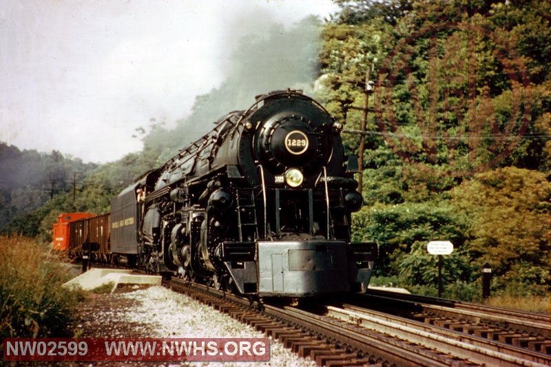 N&W Class A  #1229 at Kenova,WV