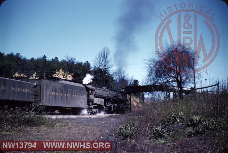 N&W A 1230 with #84 at Blue Ridge, VA